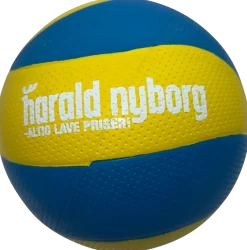 Volleyboll storlek 5
