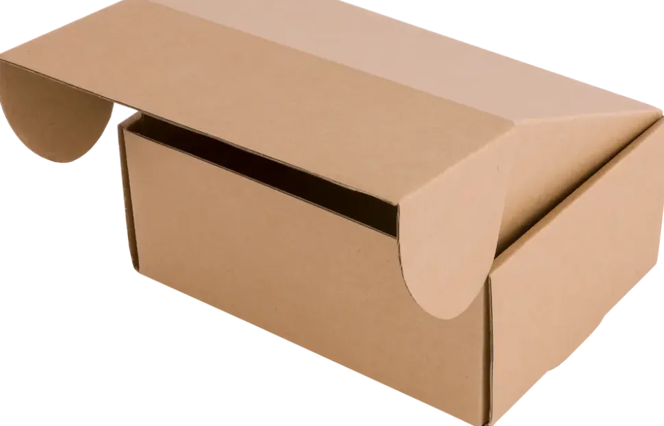 Wellpappkartong - M 2-pack
